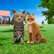Ikon program: Cat Family Simulator: Wil…