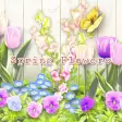 iconwallpaper-Spring Flowers-