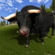 أيقونة البرنامج: Angry Bull Attack Surviva…