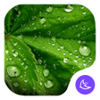 プログラムのアイコン：Green-APUS Launcher theme