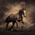 Icon of program: Horse Wallpaper New Tab T…