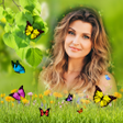 Programikonen: Butterfly Photo Frames