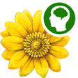Icon of program: HP-Quiz