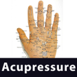 プログラムのアイコン：Learn Acupressure Points …