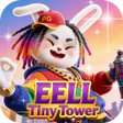 程序图标：EELLTinyTower