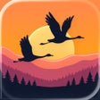 Ikona programu: Pure Nature - 3D Soundsca…