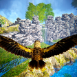 Icon of program: Forest Flying Birds