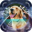 Icon of program: Dog Scanner: Breed Identi…