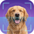 プログラムのアイコン：Dog Scanner: Breed Identi…