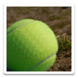 Icon of program: TennisGameCalculation
