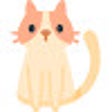 Ikon program: Gato en la Web