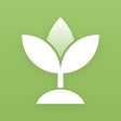 Ikon program: The Plant Identifier  Car…