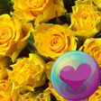Icon of program: Brilliant Yellow HD Wallp…