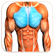 Icon of program: Chest Workout™