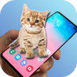 Ikon program: Cat Play : Cat Game - Cat…