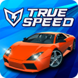 程序图标：TRUE SPEED