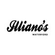 ไอคอนของโปรแกรม: Illianos Waterford