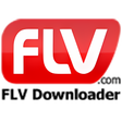 程序图标：FLV.com FLV Downloader
