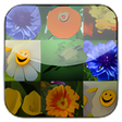Icono de programa: Photo Collage Online