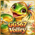프로그램 아이콘: GG567Volley