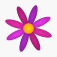 ไอคอนของโปรแกรม: Menstrual Period Tracker