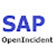 Ícone do programa: OpenSAPCustomerIncident