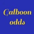 程序图标：Galboon Odds