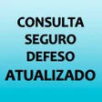 程序图标：Consulta Seguro