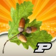 Ikon program: Purdue Tree Doctor