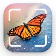 Ikona programu: Bug Identifier: Bugs Spid…
