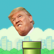 Icon of program: Flappy Edit Creator