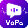 程序图标：VOPA