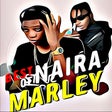 程序图标：Naira marley all songs
