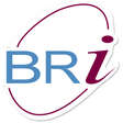 程序图标：BRiMobile