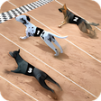 Ikona programu: Racing Dog Simulator: Cra…