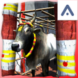 程序图标：Pongal Jallikattu Run