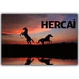 プログラムのアイコン：HERCAİ