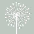 Ikona programu: DandyLight - Photography …