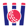 程序图标：Live Asia cup 2023
