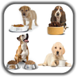 程序图标：Dog Food Recipes - Homema…