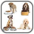 Dog Food Recipes - Homemade Do