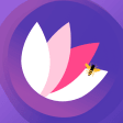Lotus browser. Discover fun