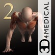 Programın simgesi: iMuscle 2 - iPhone Editio…
