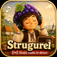 Icoon van programma: Strugurel: Stații radio o…