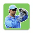 Sports Stickers - Cricket and Football Stickers
