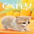 Programın simgesi: Catly