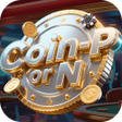 Programın simgesi: Coin-P or N