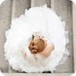 程序图标：Ball gown wedding Dress