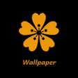 程序图标：4K Wallpaper : HD Backgro…