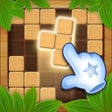 프로그램 아이콘: Wood Block Puzzle